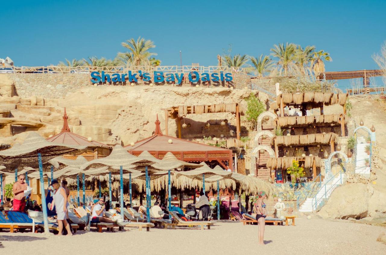 Sharks Bay Apartments For Rent Sharm-el-Sheikh Buitenkant foto